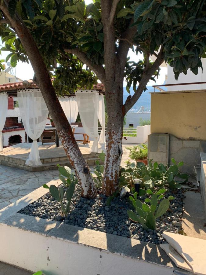 Hapinness Seaview PalaiónTsiflíkion المظهر الخارجي الصورة