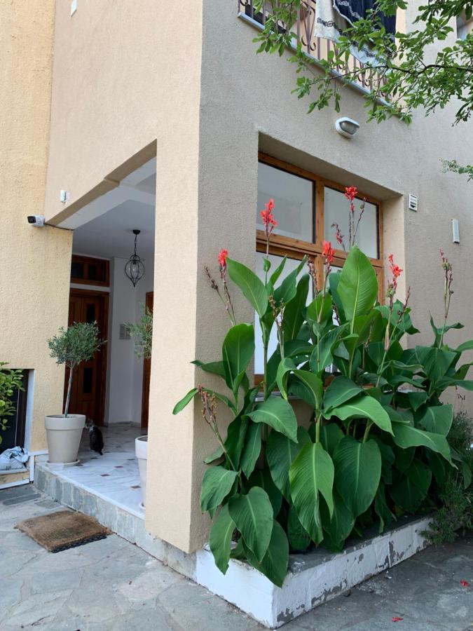 Hapinness Seaview PalaiónTsiflíkion المظهر الخارجي الصورة